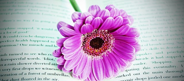 book-flower